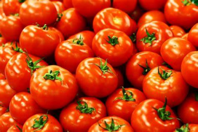 Tomato